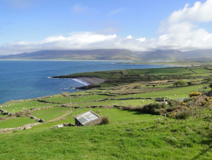 Geheimtipp auf der Dingle Peninsula