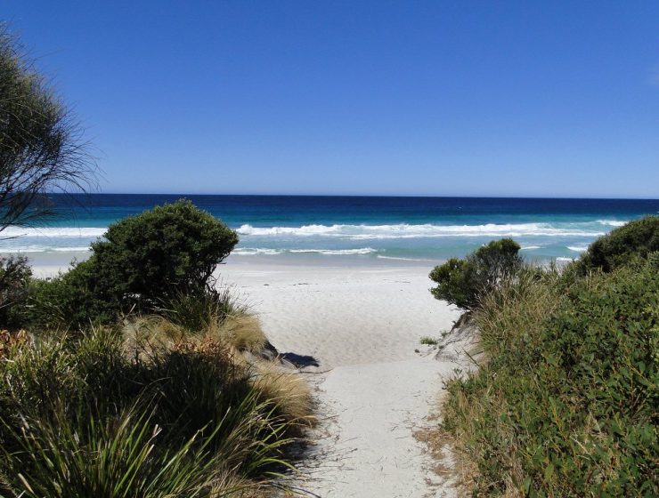 Traumstrand Bay of Fires