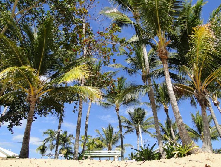 Strand Magnetic Island