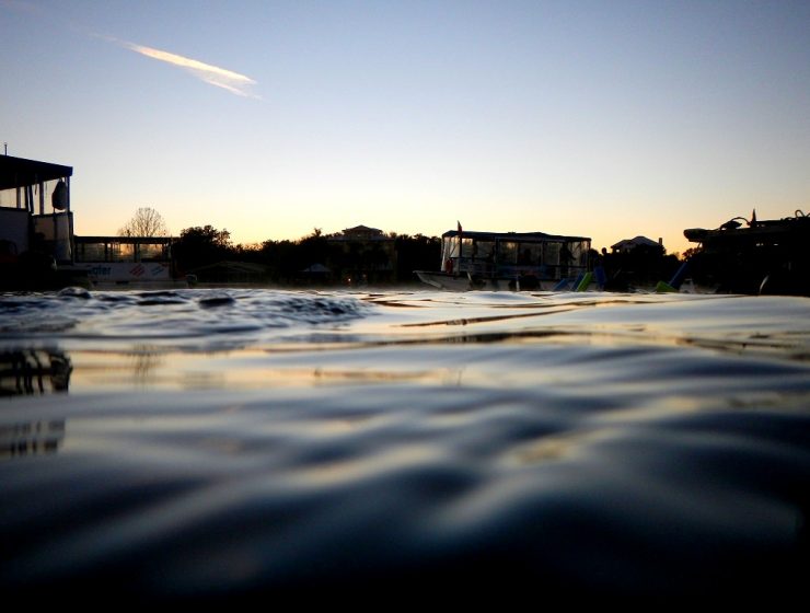 Florida Highlight Schwimmen mit Manatees