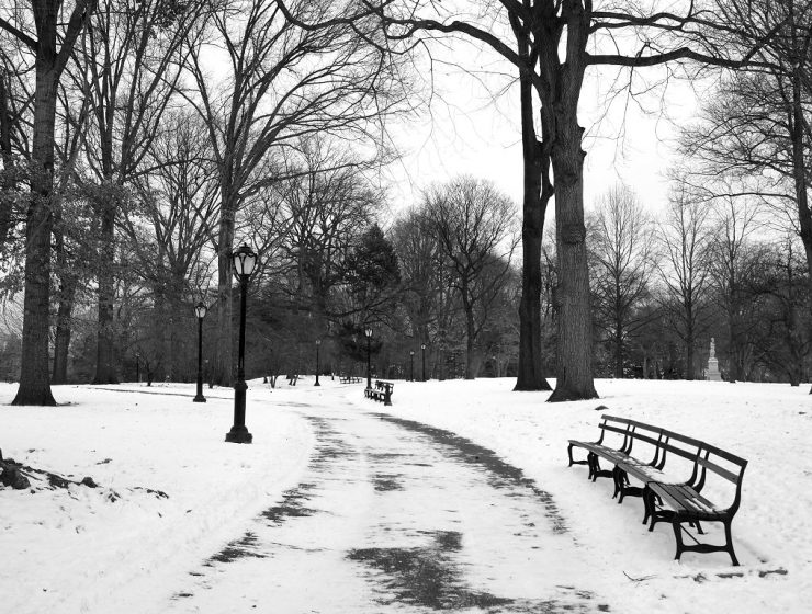 Reisekolumne Schnee in New York