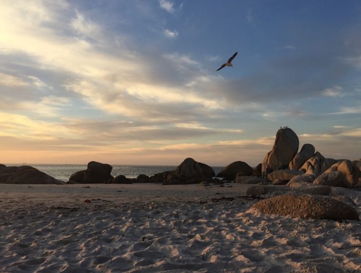 Clifton Beach Strandliebe