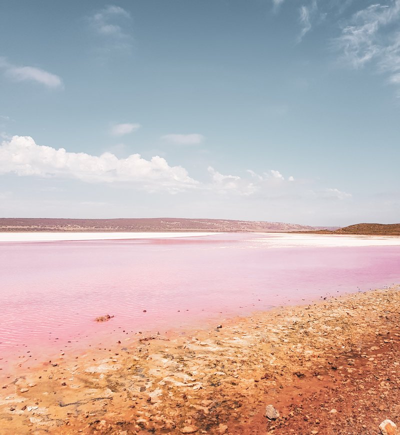 Pink Lake Western Australia Hutt Lagoon