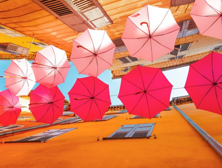 Sehenswertes in Grasse Reisetipps