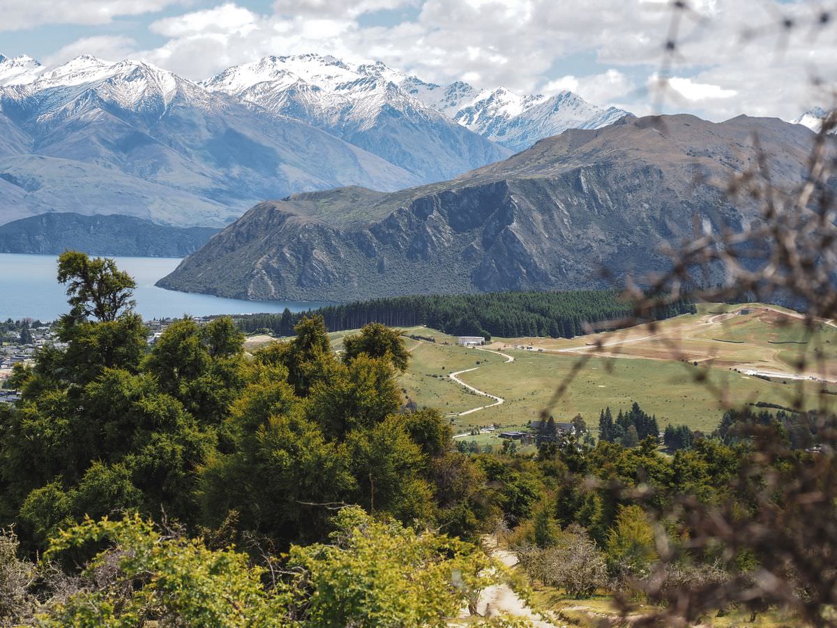 mount-iron-track-lake-wanaka-roadtrip-neuseeland-route Aussicht Mount Iron Walk Wanaka