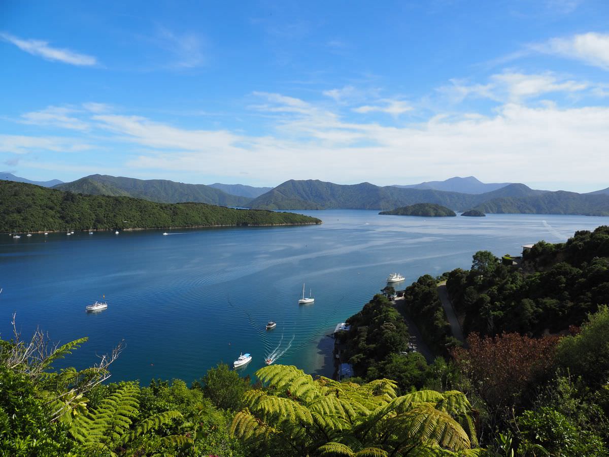 Picton Queen Charlotte Sound Neuseeland Südinsel