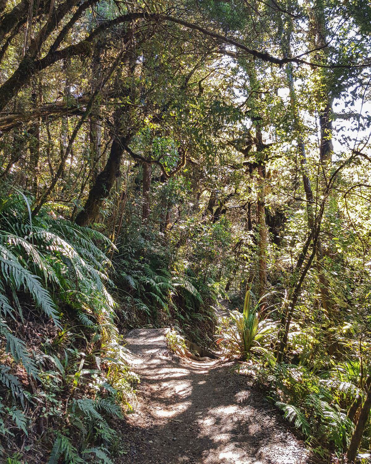 tongariro-alpine-crossing-tipps-wanderung Tongariro Alpine Crossing Erfahrungen
