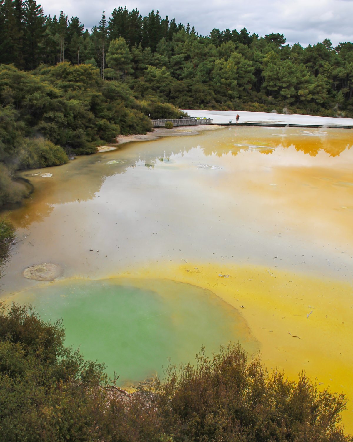 wai-o-tapu-thermal-wonderland-neuseeland-nordinsel-sehenswuerdigkeit Neuseeland Nordinsel Sehenswürdigkeiten Wai o Tapu Wonderland