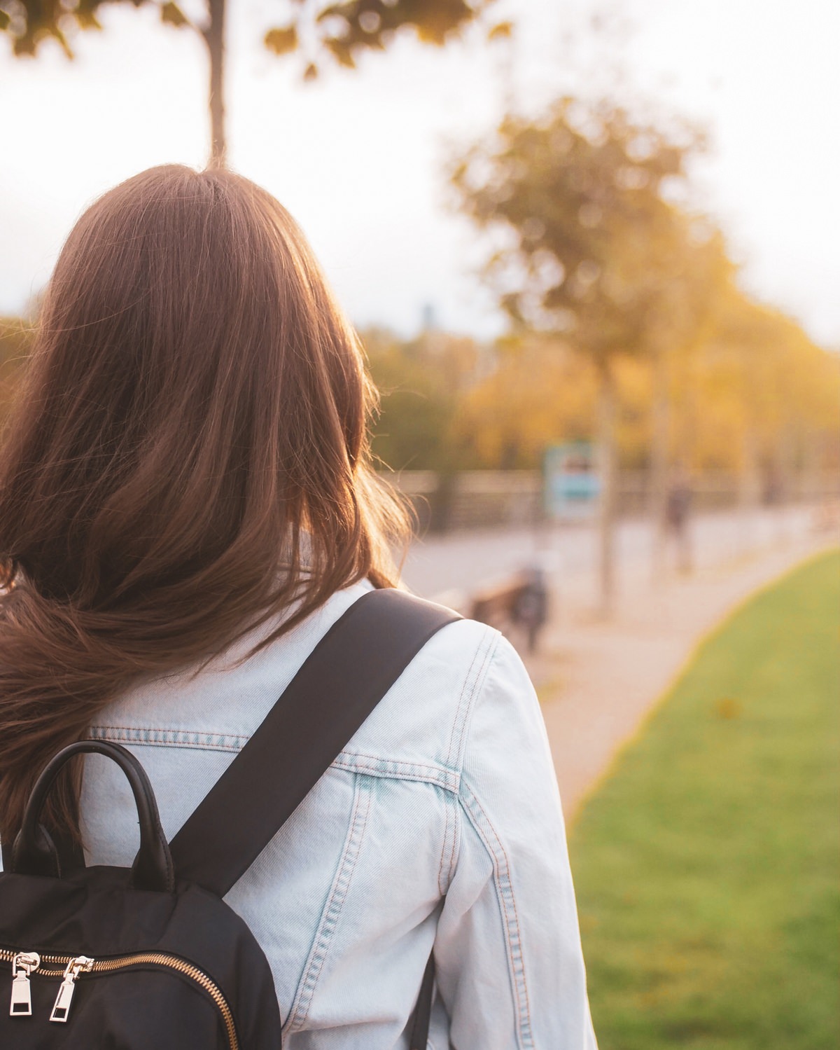 frankfurt-die-besten-sehenswuerdigkeiten-ostend-hafenpark Ostend Frankfurt Hafenpark