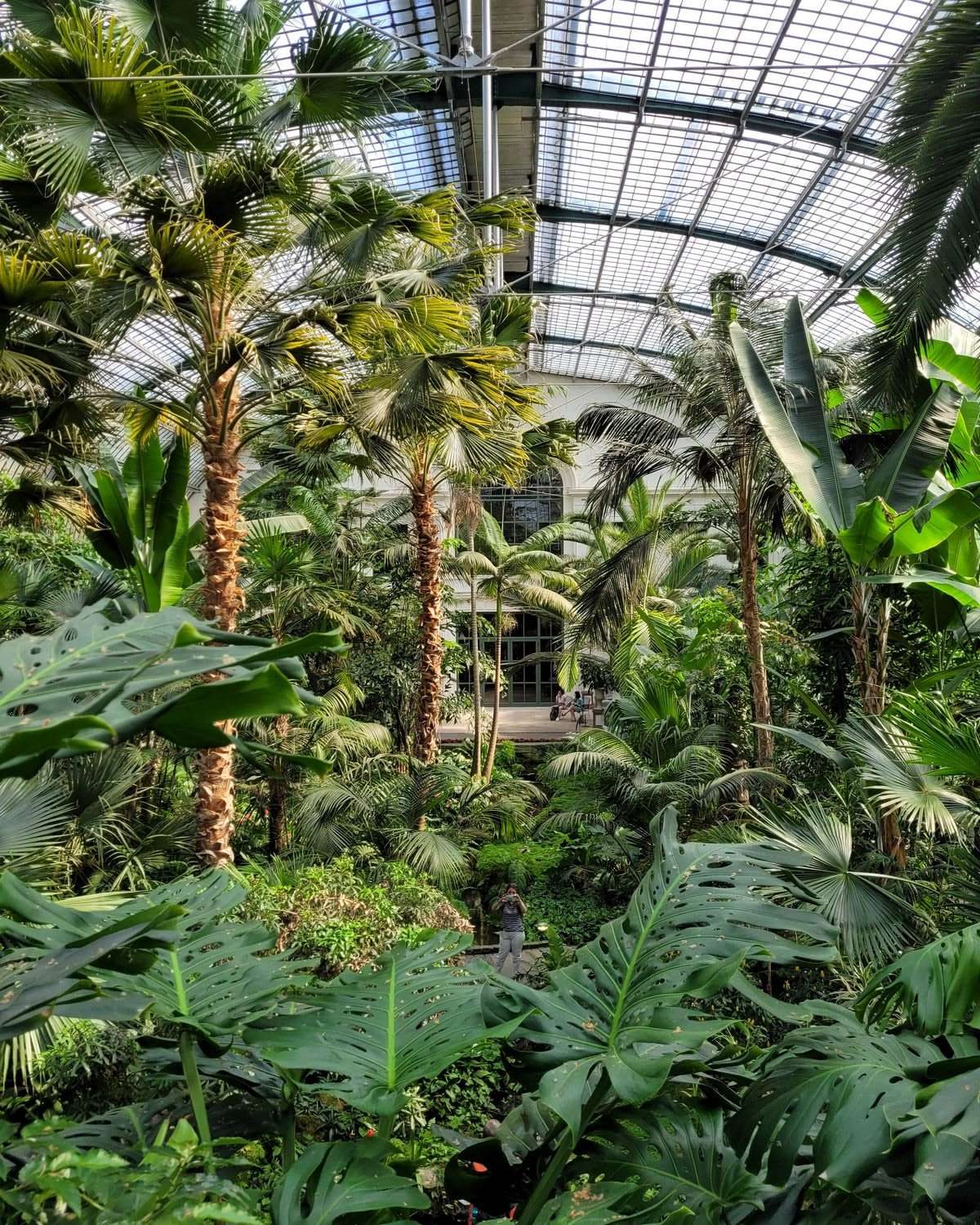 frankfurt-die-besten-sehenswuerdigkeiten-palmengarten (2) Frankfurt Sehenswürdigkeiten Palmengarten