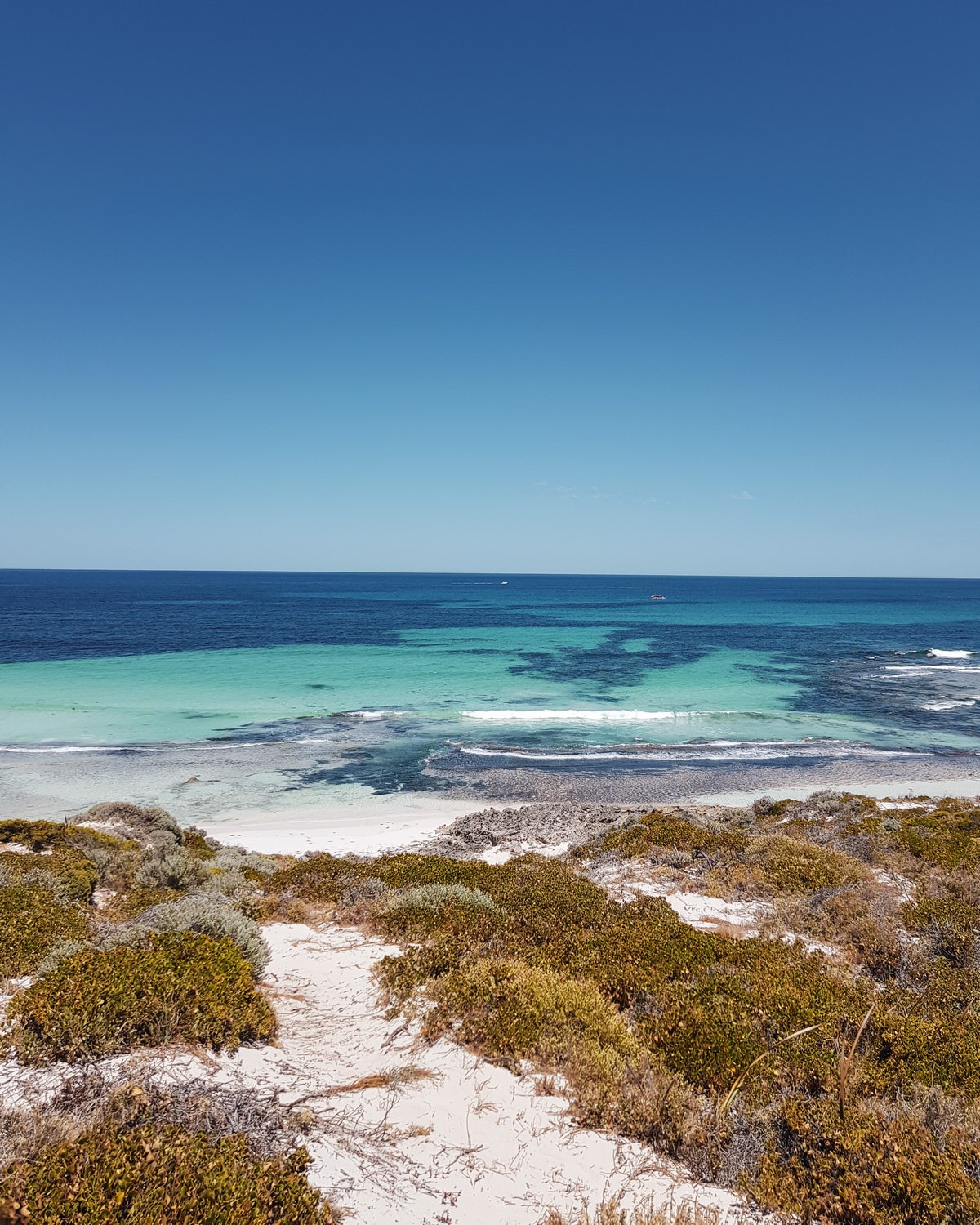 rottnest-island-fahrrad-ausleihen-reisetipps Rottnest Island Strände